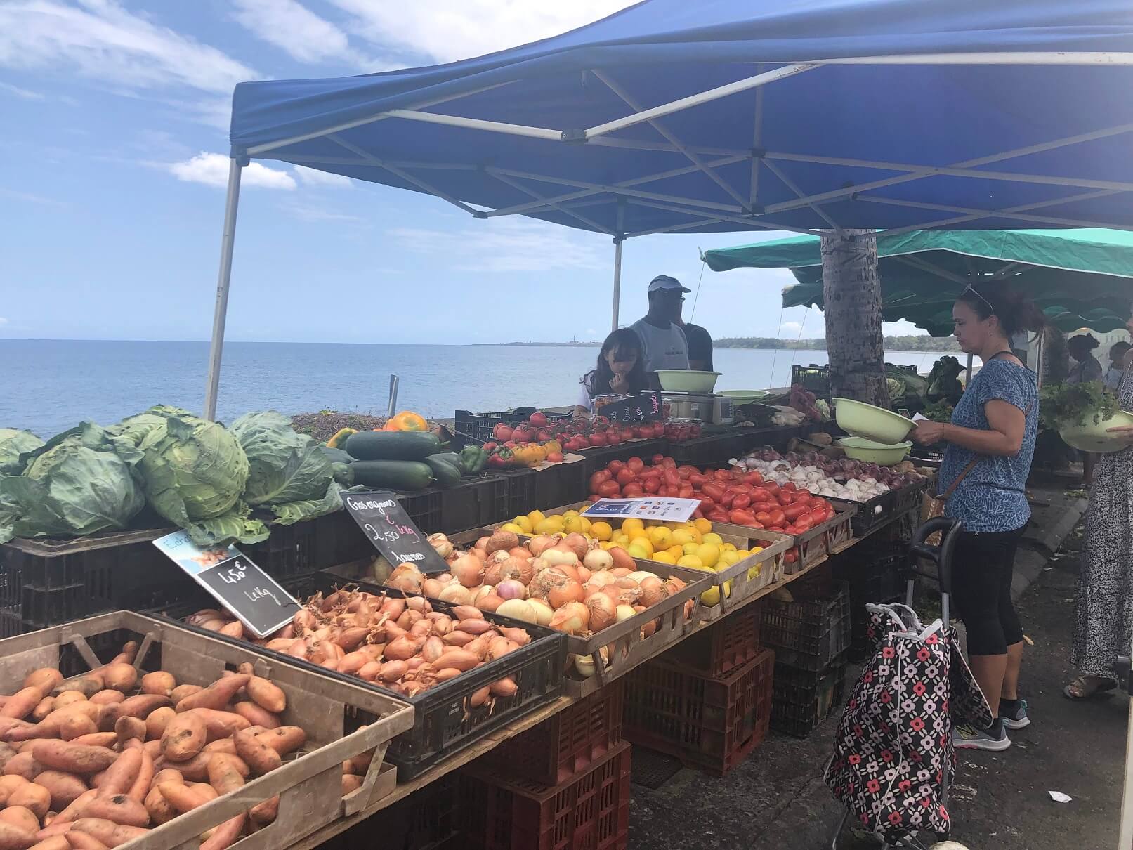 フランスの海外県、インド洋に浮かぶレユニオン島ってどんなところ？