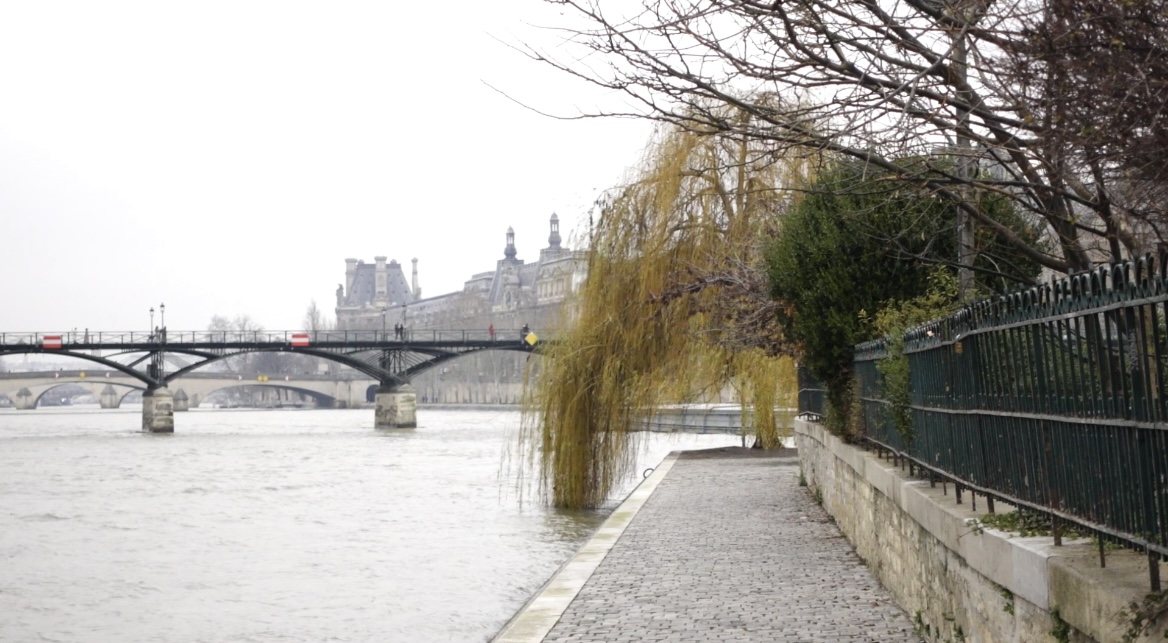 滞仏日記「人をその気にさせる☞自分もやる気になる☞みんなで成功するの術」