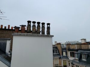 滞仏日記「昼の献立、酒粕うどんとおにぎり、三四郎が股間から離れない！！！」
