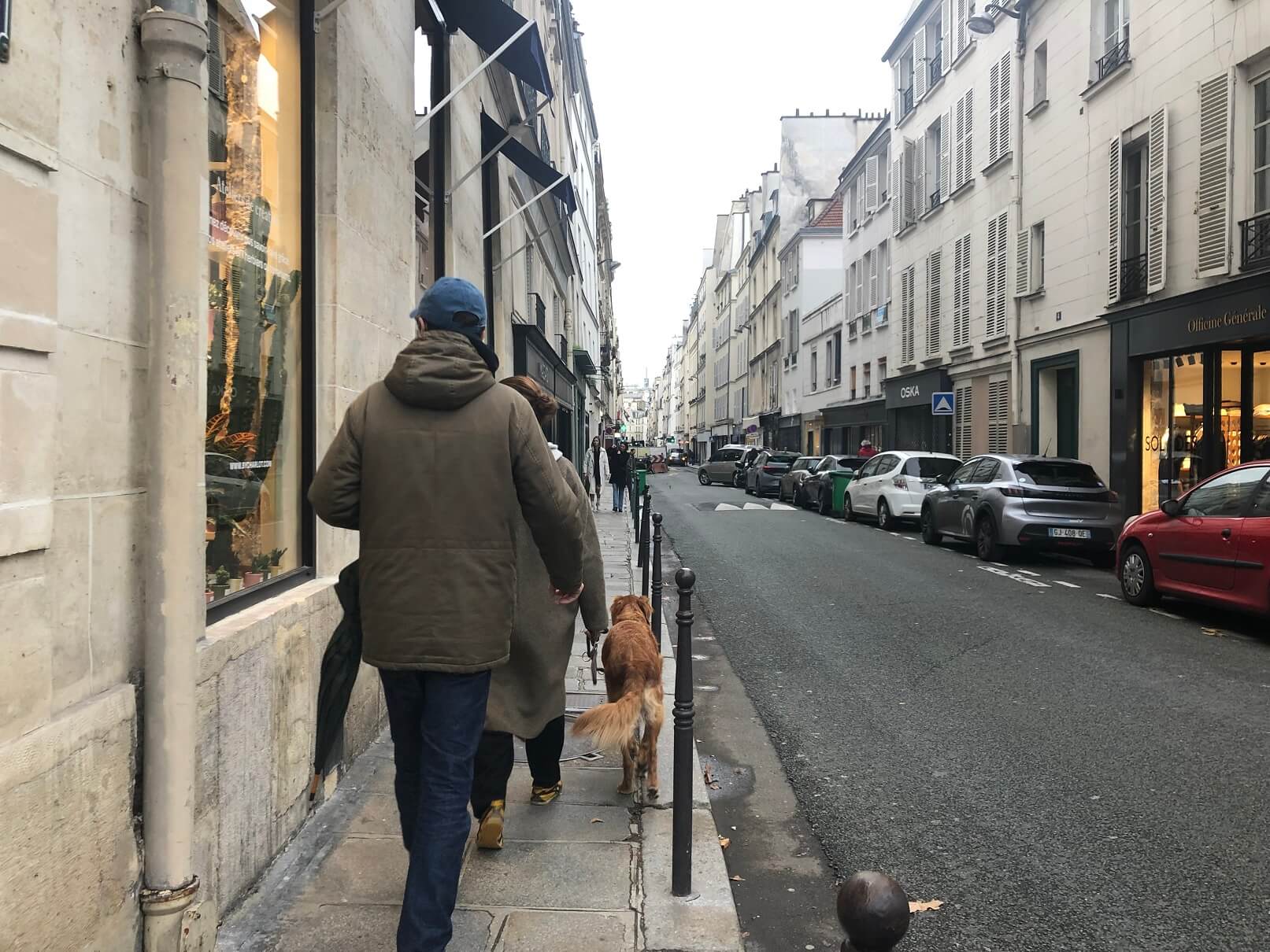 パリ最新情報「フランスで生まれたワンちゃん、どの犬種が多かった？日本の柴犬は人気上昇中」