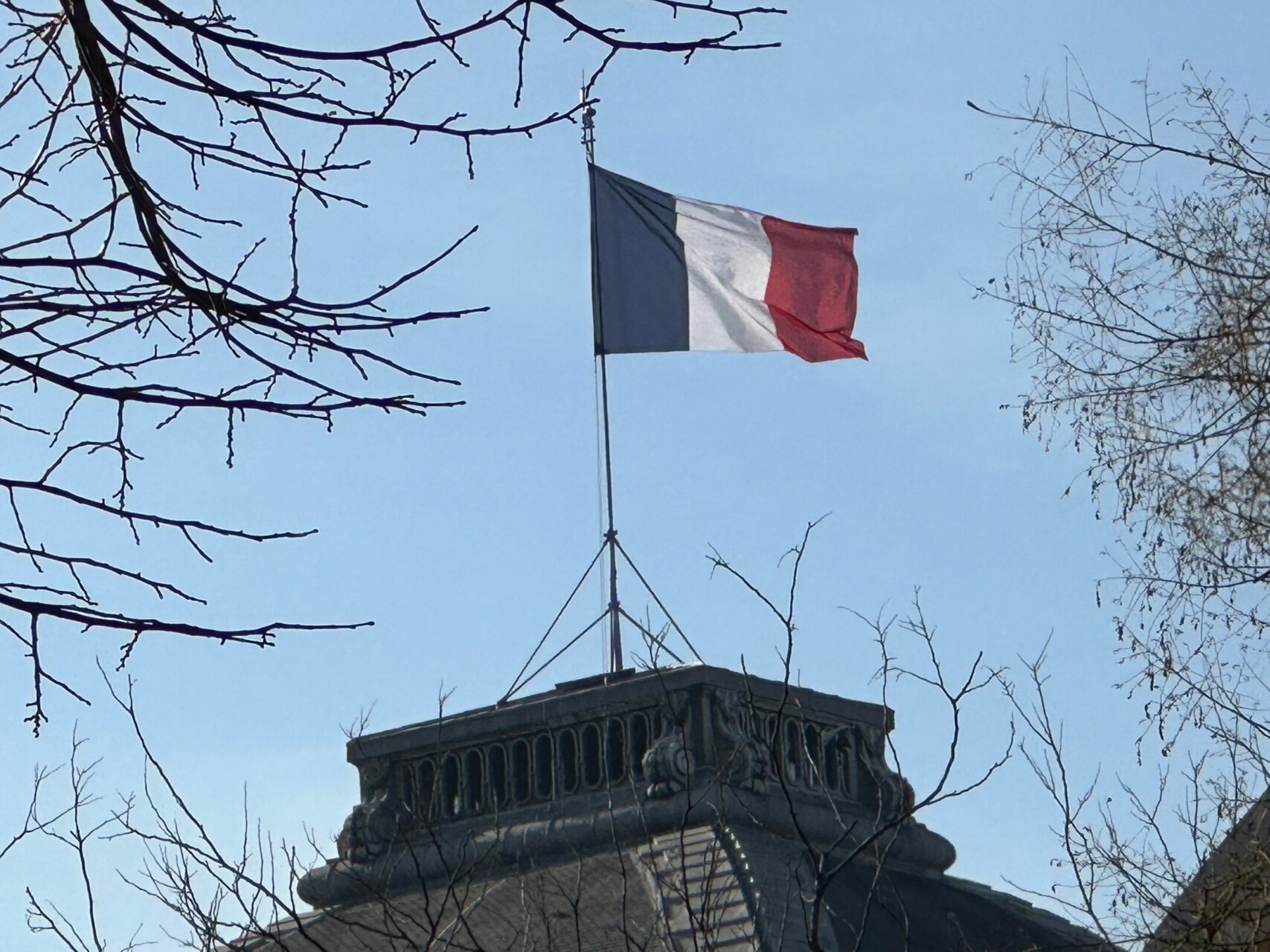 滞仏日記「息子の未来設計が凄かった。食事のあと、深夜まで語り尽くした親子談義」