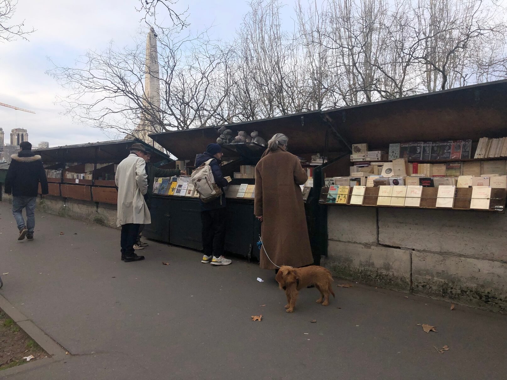 パリ最新情報「フランス、3月の第一日曜日はおばあちゃんの日！」