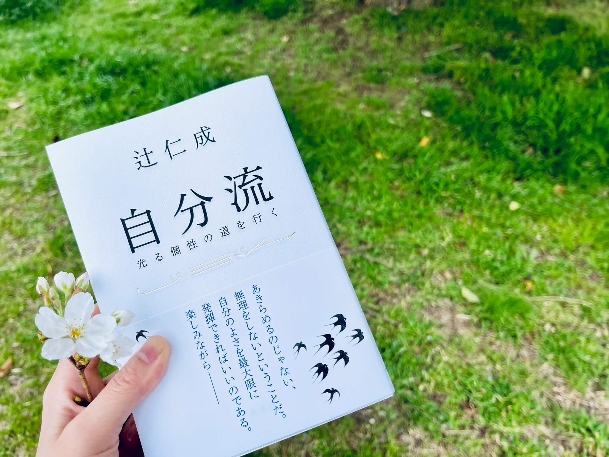 滞仏日記「愛犬とブルターニュをめぐる旅に出た父ちゃん、父子旅２、快調です」