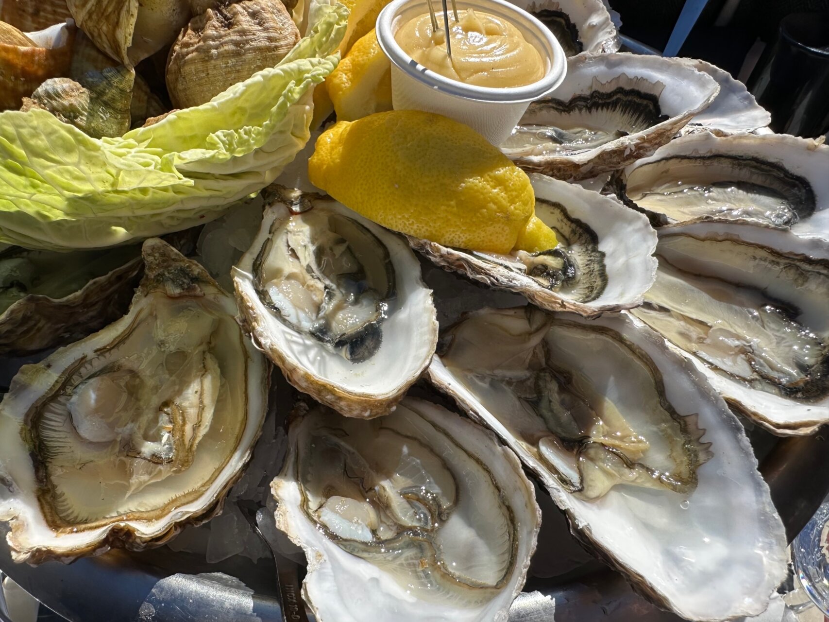 滞仏日記「シーフードプレートが有名な魚介通りでチャールズと雲丹を食べまくる」