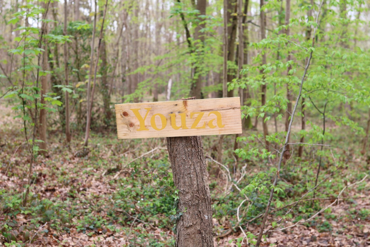 愛すべきフランス・デザイン「おとぎ話の森に住むような宿泊施設『Youza』の新しい自然体験」