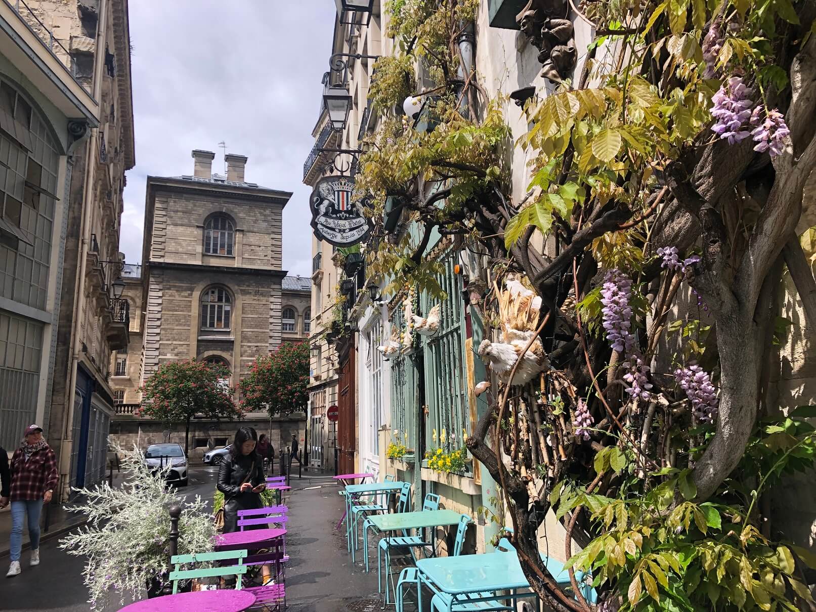 パリ最新情報「藤に彩られた5月のフランス、心温まる種のお裾分けも。」