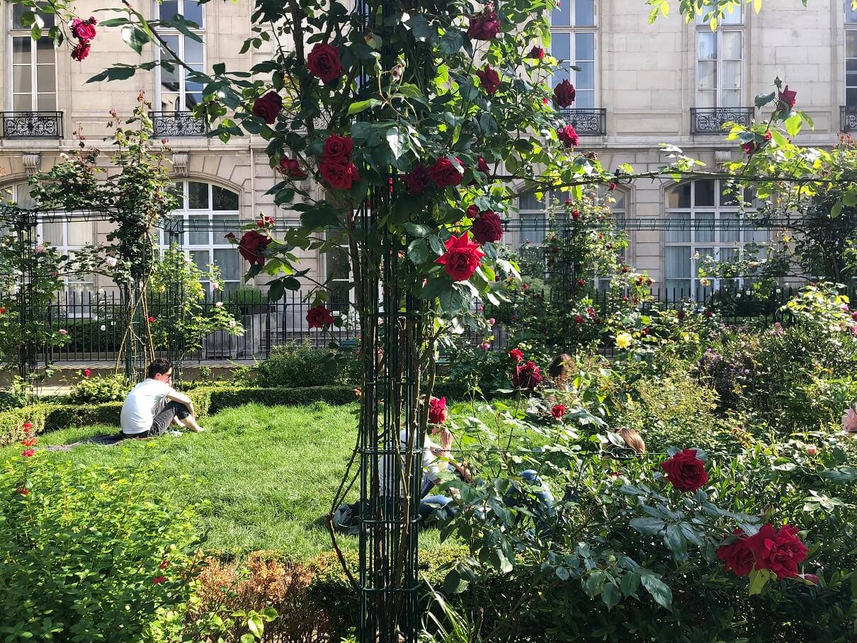 パリ最新情報「パリ、秘密の薔薇園がマレ地区に。」