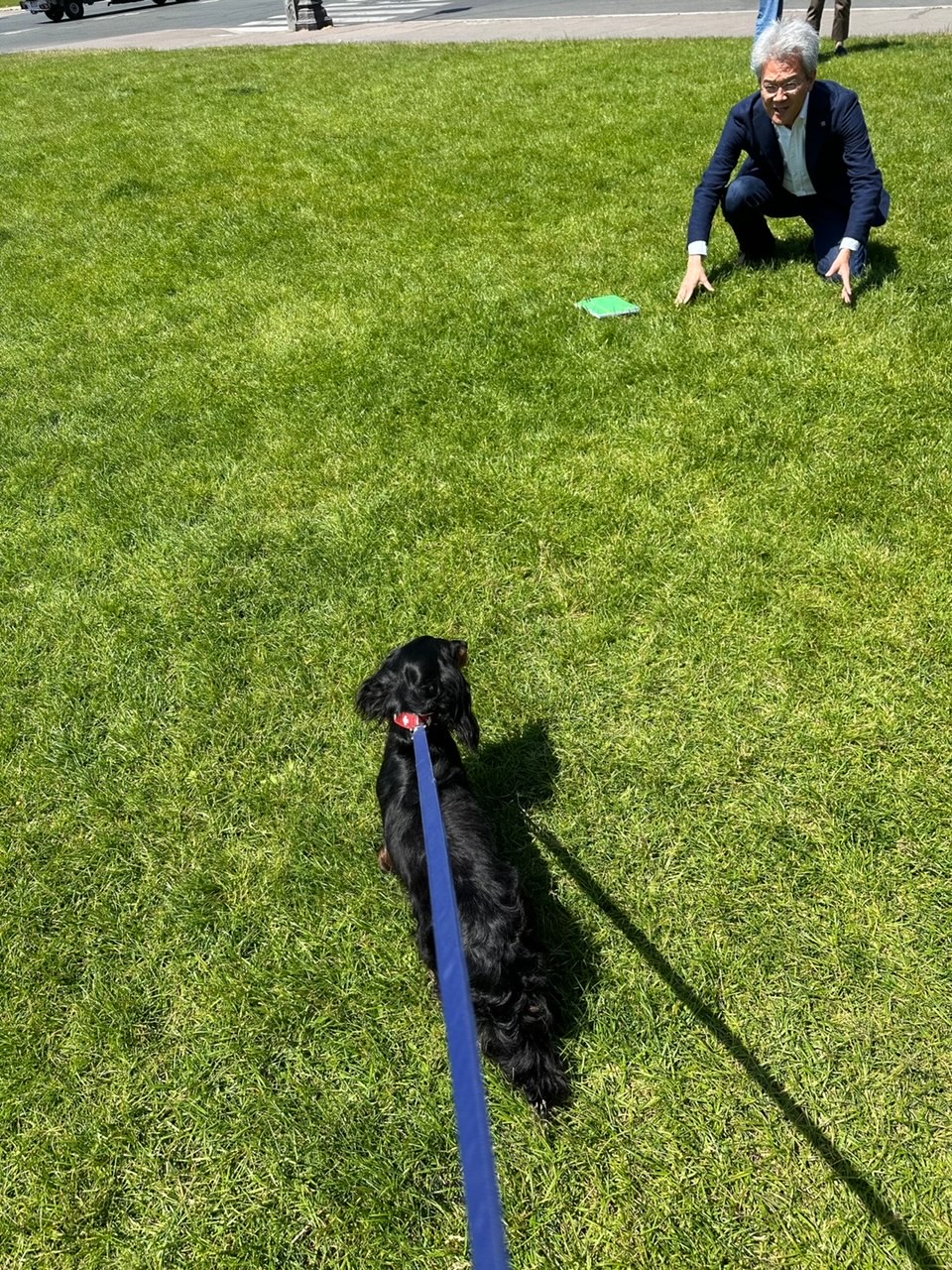 滞仏日記「犬パパ友、有馬嘉男アナウンサーのインタビューを受けた。NHKで放送されるよ」