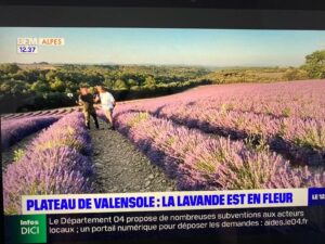パリ最新情報「南仏ヴァレンソール高原のラベンダー、今が満開に！」