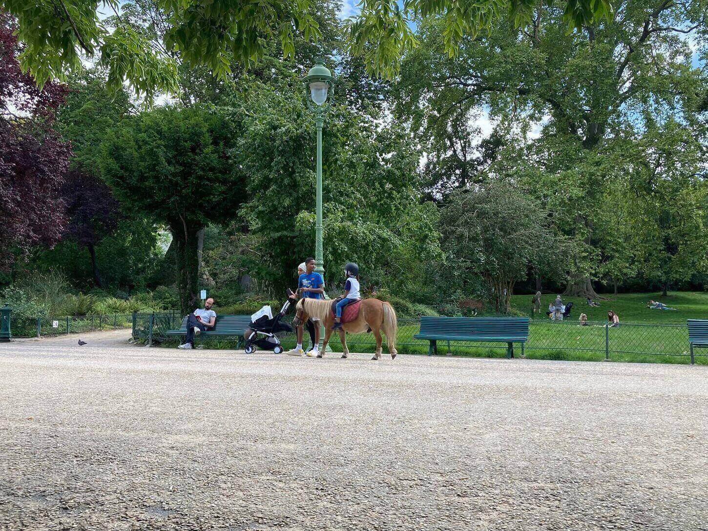 パリ最新情報「パリ市、公園でのポニー乗馬に終止符を打つ。2025年から」