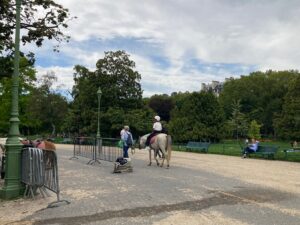 パリ最新情報「パリ市、公園でのポニー乗馬に終止符を打つ。2025年から」