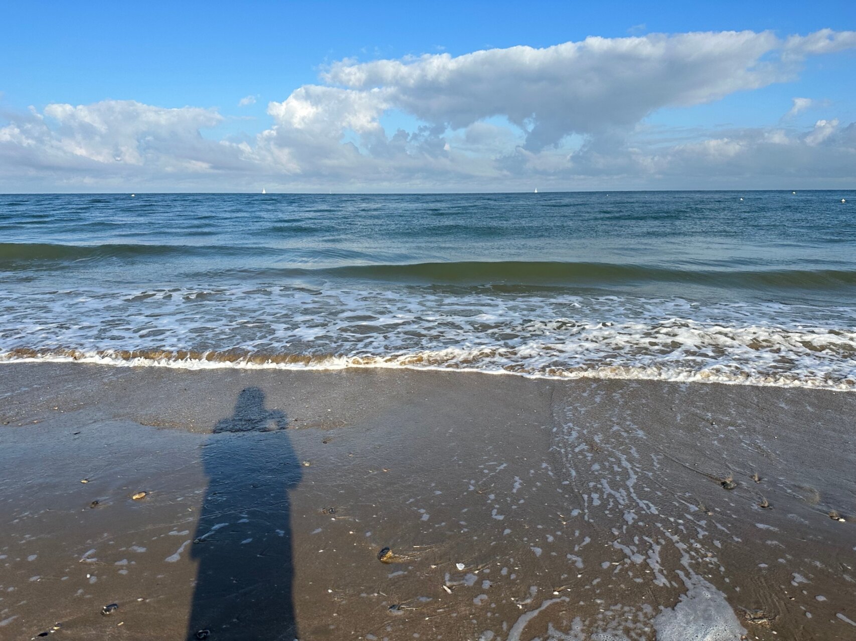 辻村だより、２