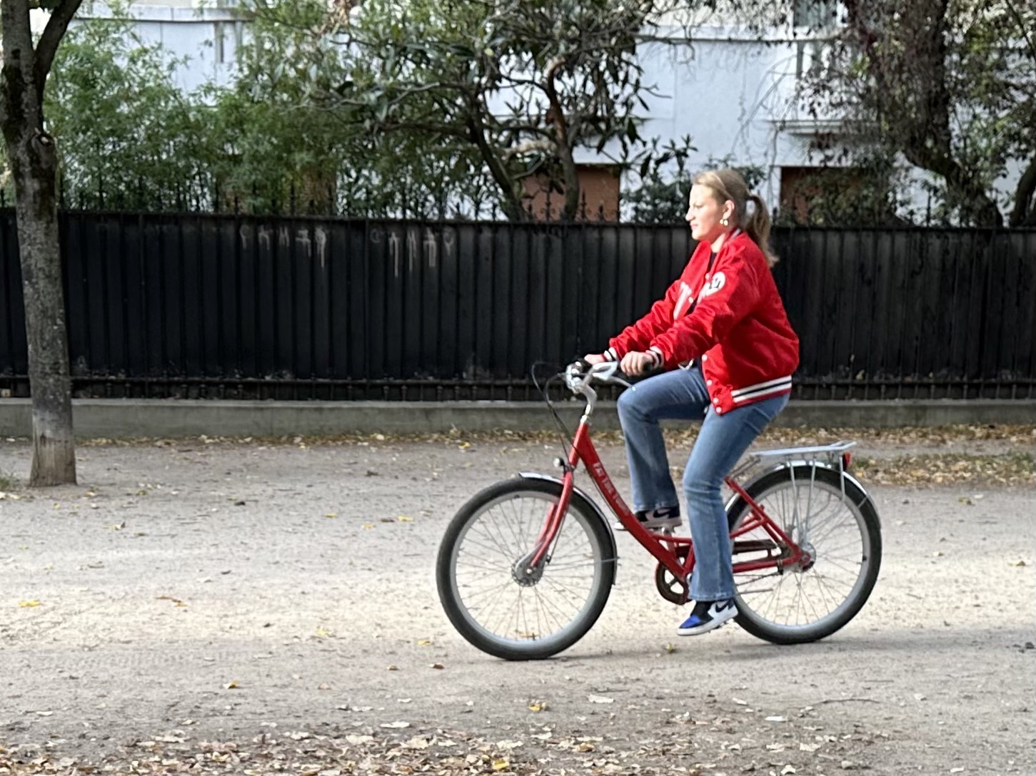 日々のことば、「凧」