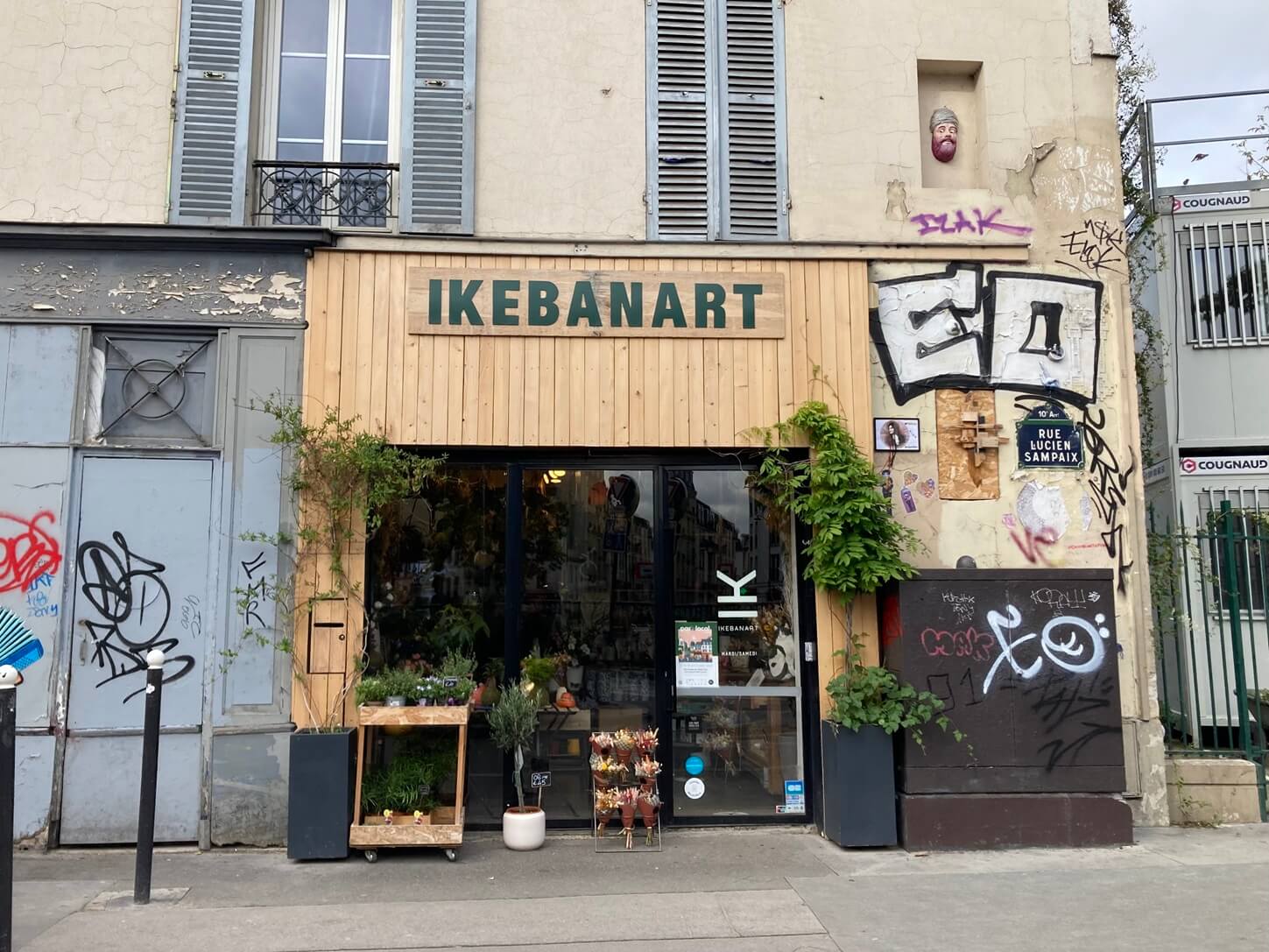 パリ最新情報「日本の苔玉、“kokedama アート”としてパリに浸透」