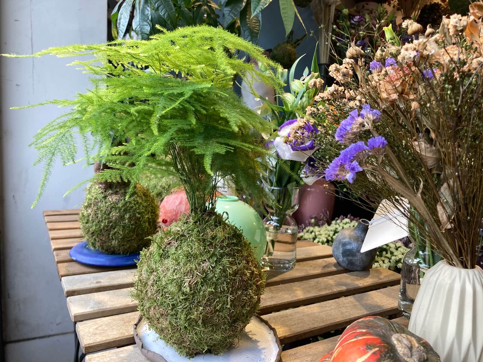 パリ最新情報「日本の苔玉、“kokedama アート”としてパリに浸透」