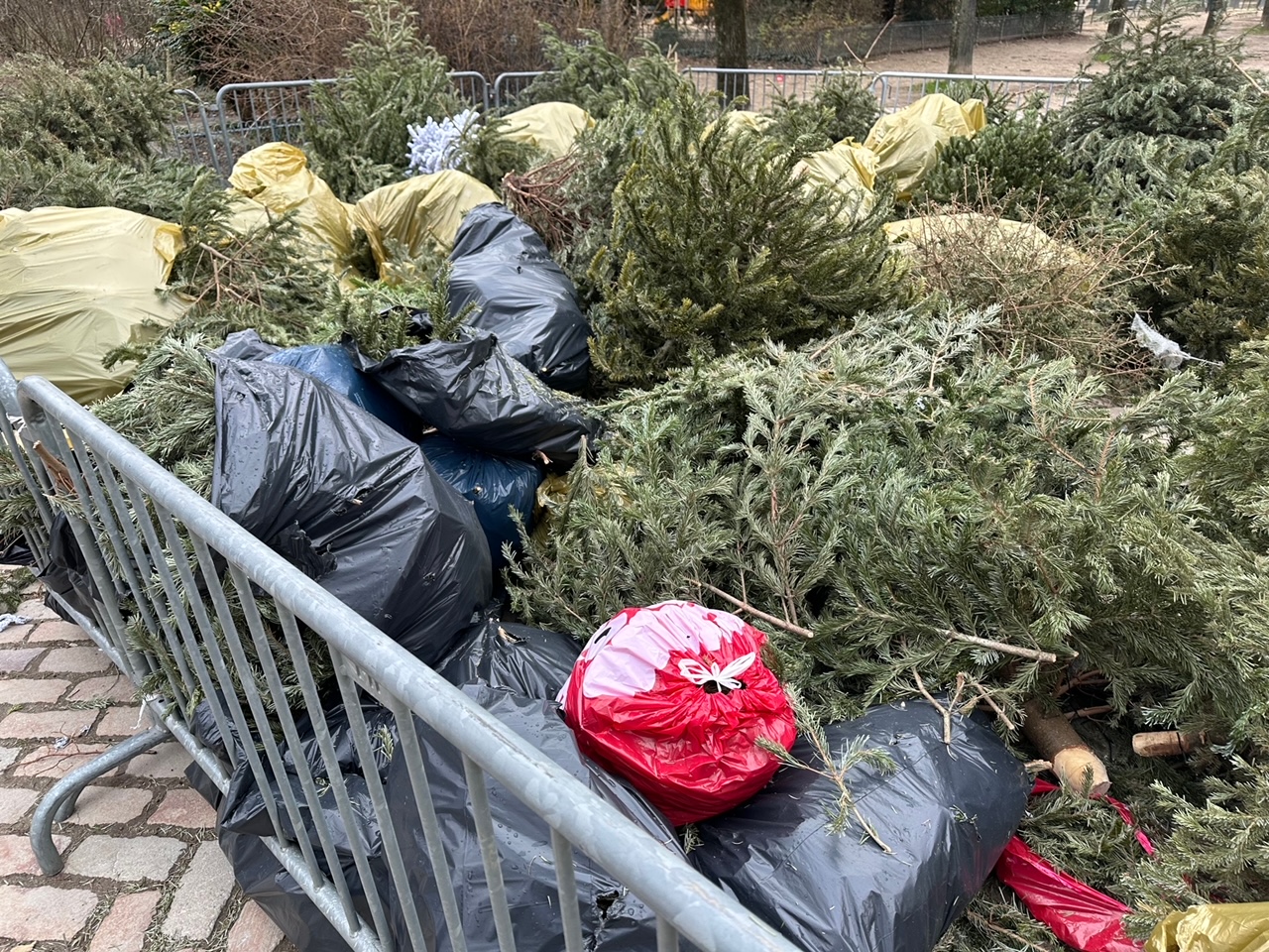 パリ最新情報「七不思議、クリスマスツリーはいつ、どうやって、回収されているのか？」
