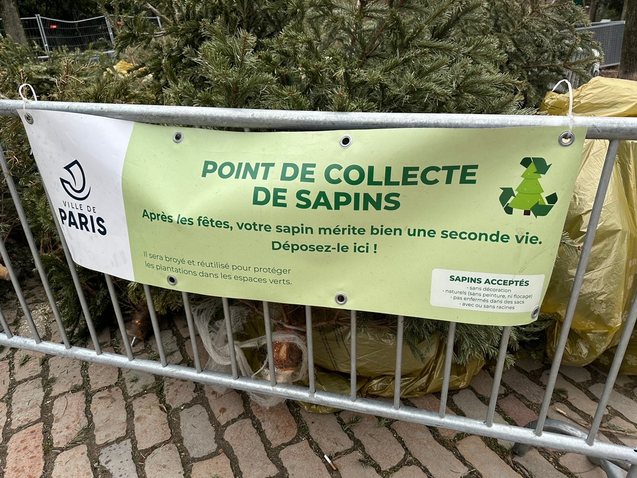 パリ最新情報「七不思議、クリスマスツリーはいつ、どうやって、回収されているのか？」