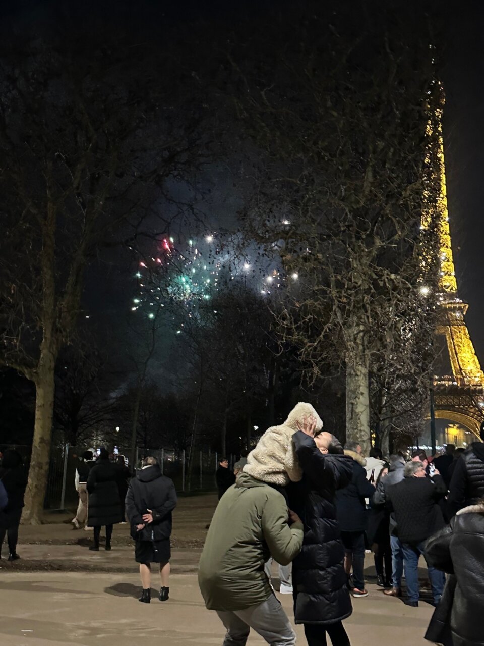 滞仏あけおめ日記「熱血新年～、あけましておめでとうございます。本年もよろしくなのだ」