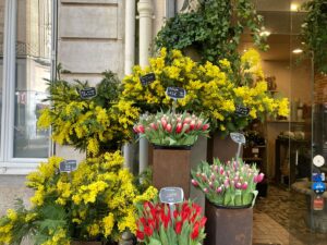 パリ最新情報「今、パリの花屋さんでは“冬の太陽”ミモザが主役。」