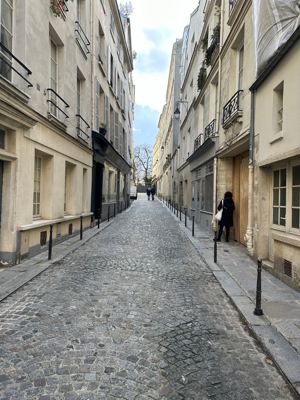 滞仏日記「パリの素敵なデザイン、アスティエ・ド・ヴィラットのお皿が大好き」