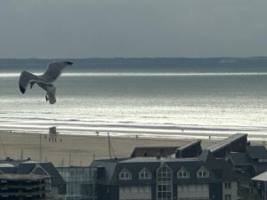 滞仏日記「そしてぼくは三四郎とノルマンディの自宅に戻り、海に沈む太陽を眺めた」