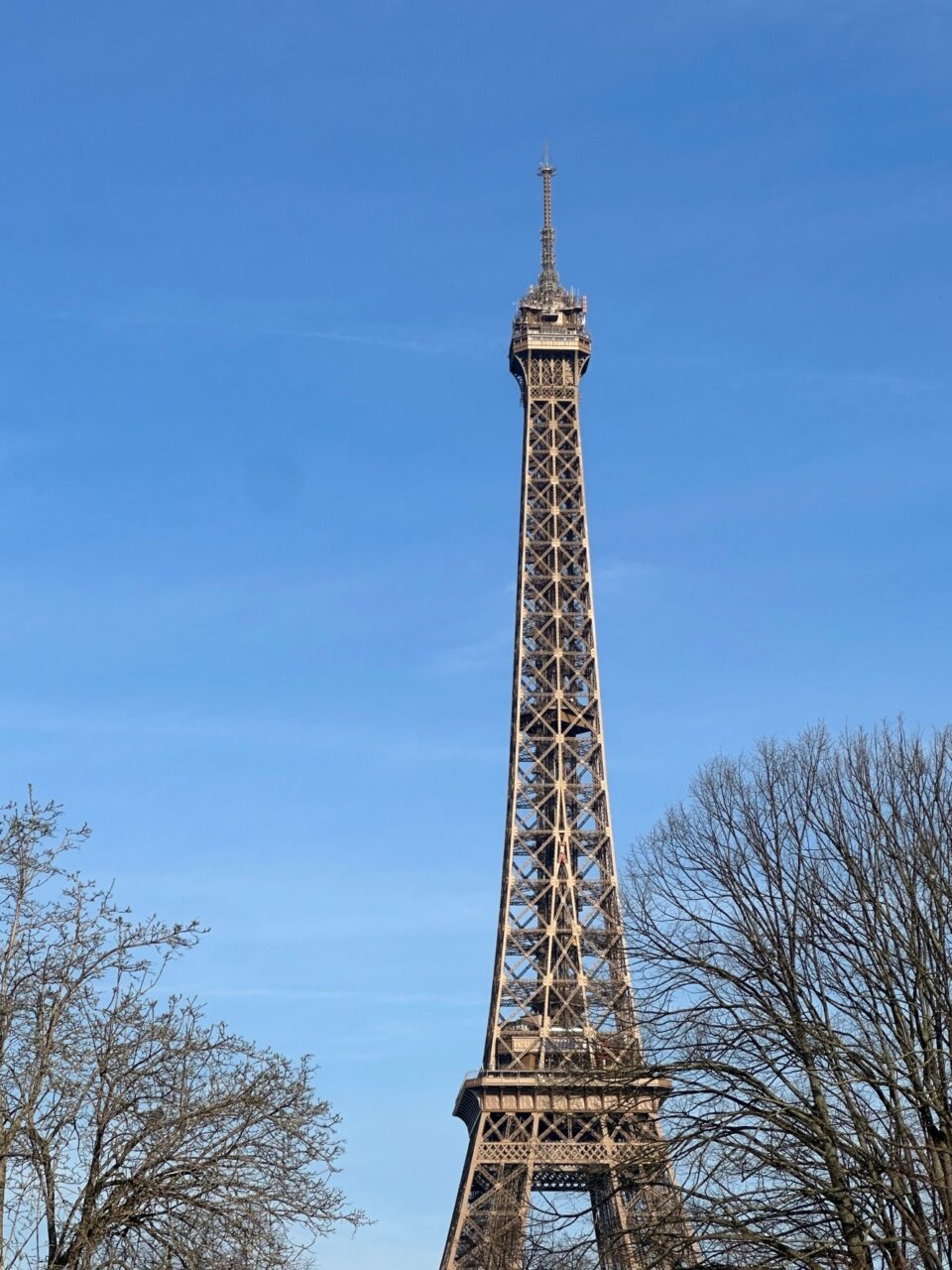 滞仏日記「退院したばかりの母さんだが、再び、体調が悪化し、病院へ」