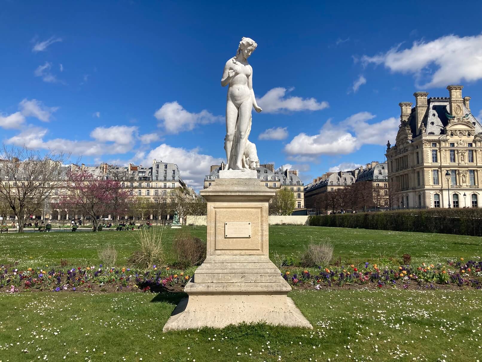 パリ最新情報「パリの庭園に5万本、オリンピックのために育てられた『炎色のダリア』」