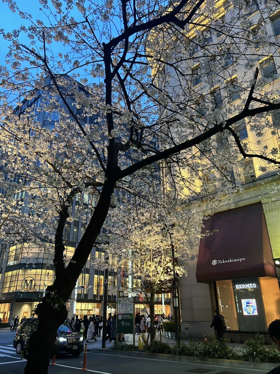 退屈ひとりごと日記「誰にも愛されていないと思う日曜日の朝に」