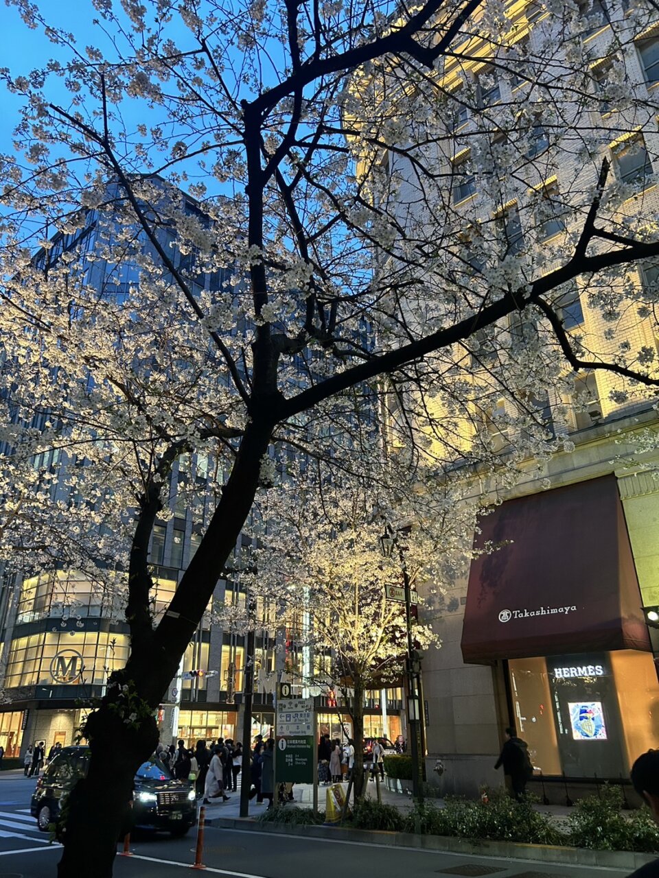 退屈ひとりごと日記「誰にも愛されていないと思う日曜日の朝に」