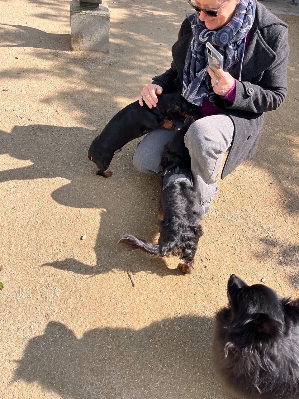 滞仏日記「鬼のいぬ間に、サンシーのいぬ間に。うっしっし」