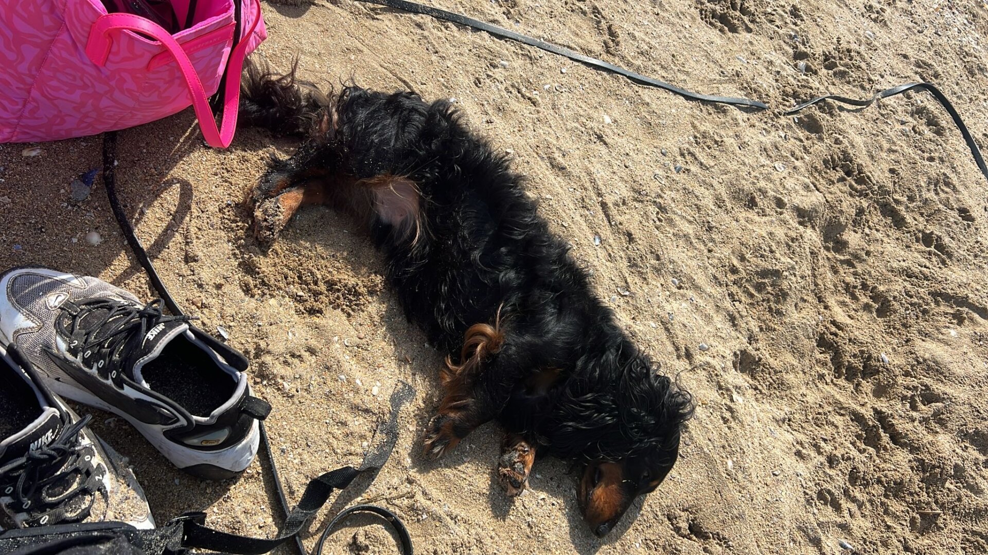 日々のことば、フランスのことわざ