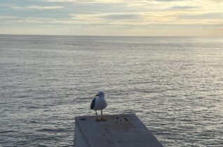 辻村相談窓口、「悩みごとがある」