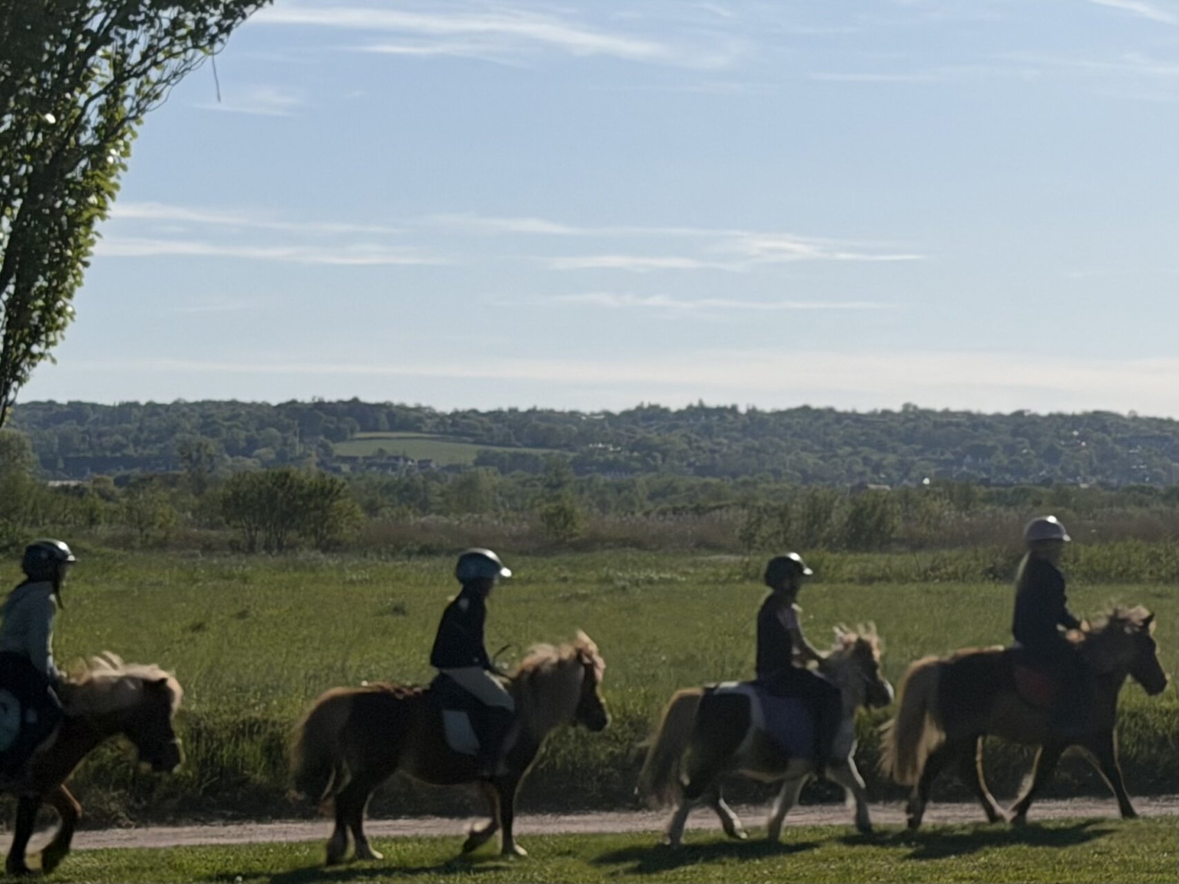 毎日が勝負飯、「クレソンのサラダ」