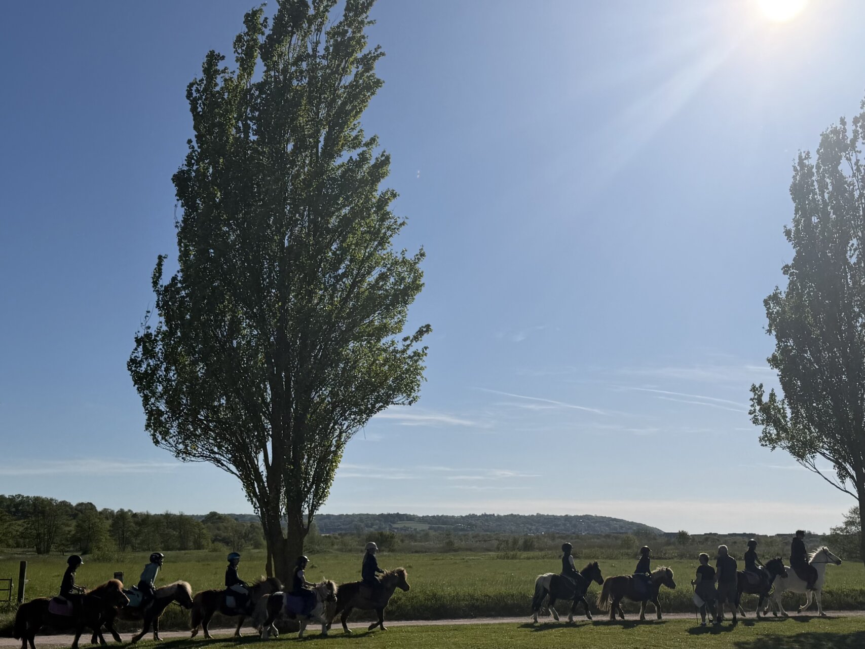 毎日が勝負飯、「クレソンのサラダ」