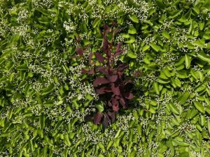 自分流塾「個性の芽に水を与える生き方」