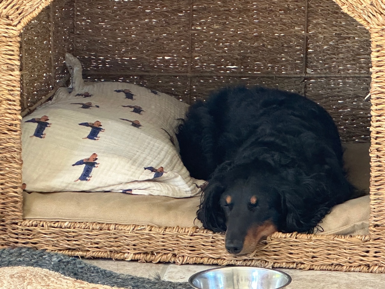 三四郎との対話、2