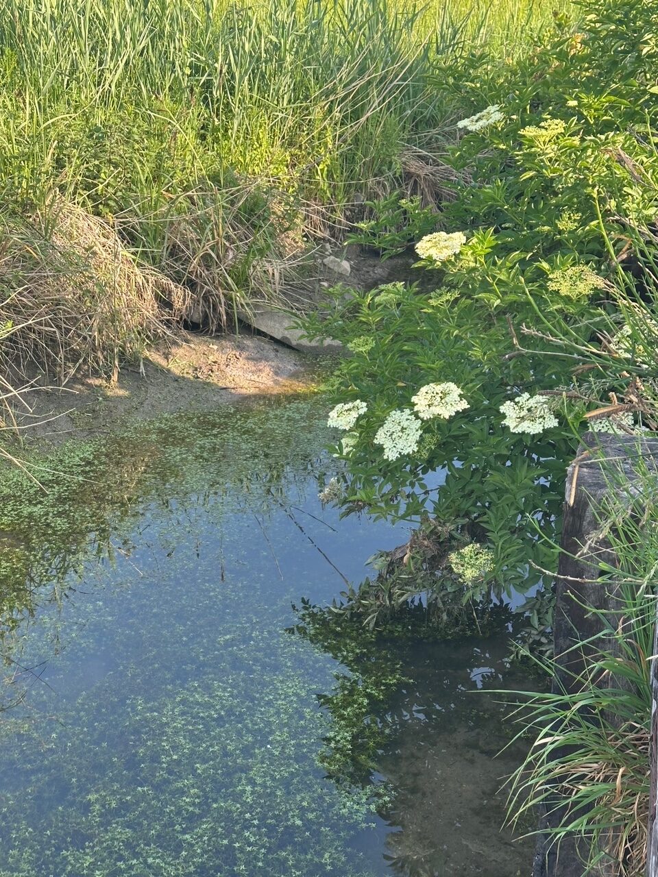 辻村相談窓口、「悩みごとがある」