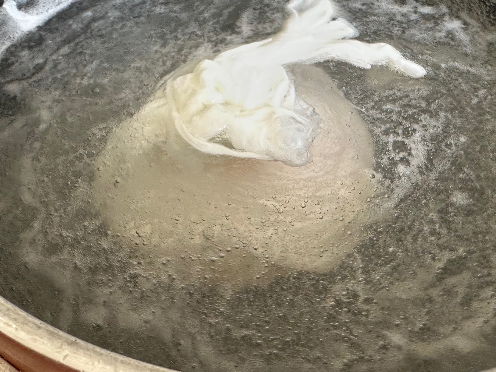 フランスの山菜、アスパラソバージュが食べごろ！