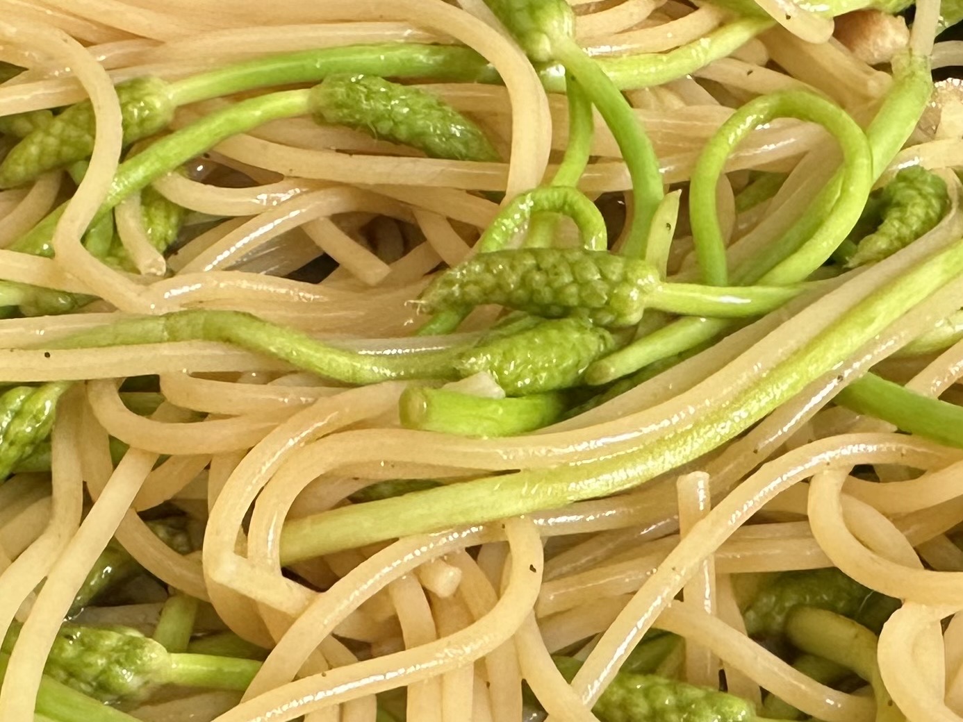 フランスの山菜、アスパラソバージュが食べごろ！