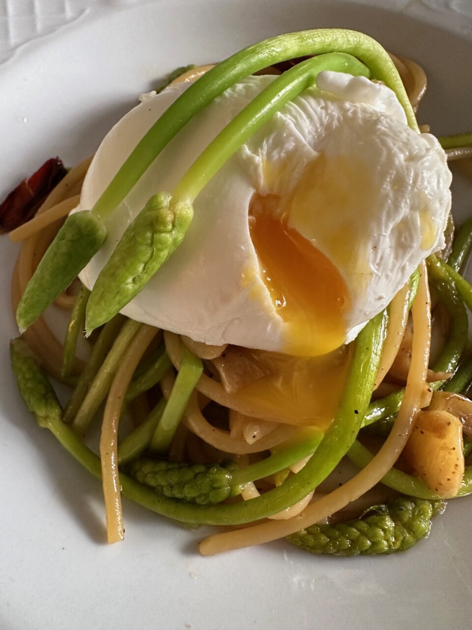 フランスの山菜、アスパラソバージュが食べごろ！