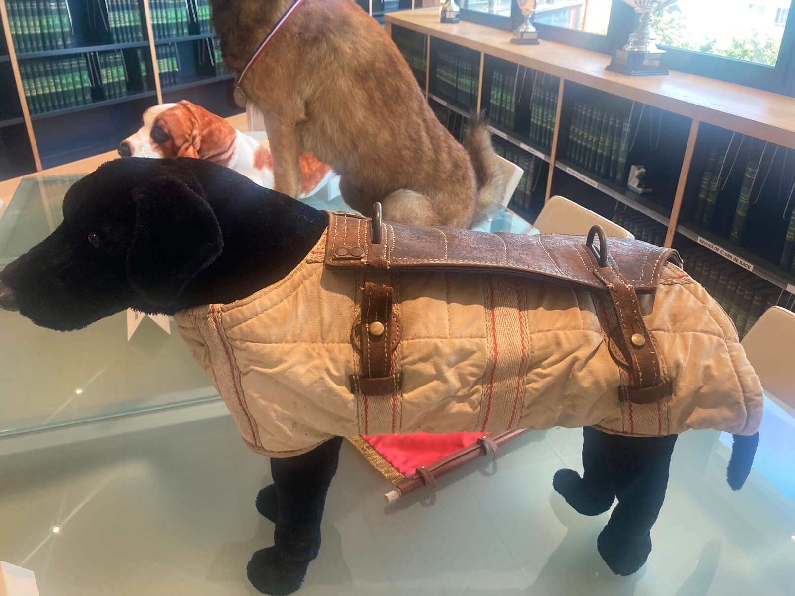 パリ・アート情報「愛犬と一緒にアート鑑賞！フランス初、犬の美術館がオープン」