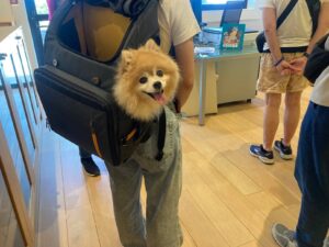日々のことば「無理」