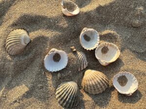 自分流・日々のことば「沈黙」
