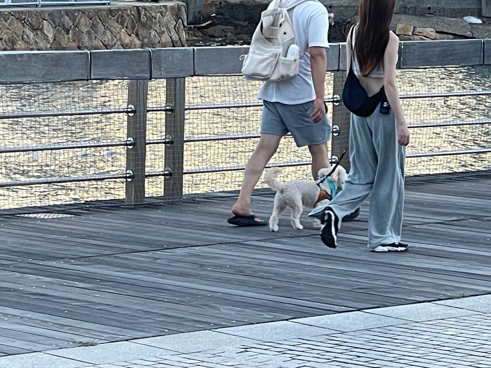 日々のことば「助かる」