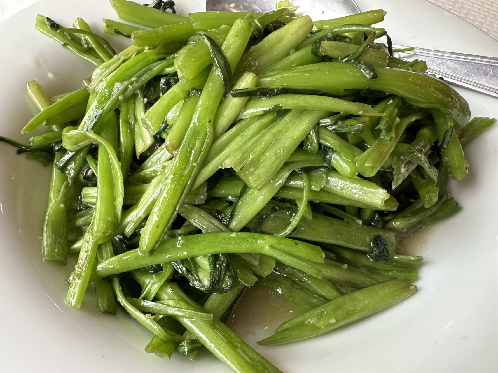 日々のことば「前向き」
