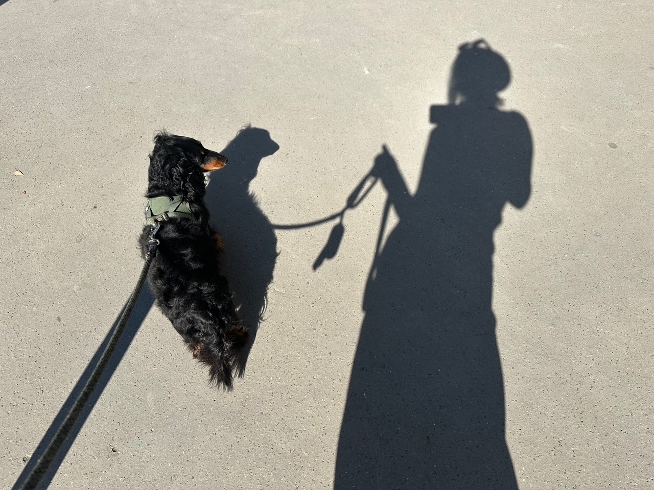 日々のことば「黙」