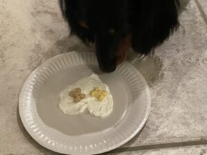 三四郎、４歳のお誕生日、おめでとう！！！