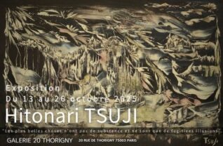 パリの個展に寄せて「美しいが実態のない虚しいものたち」
