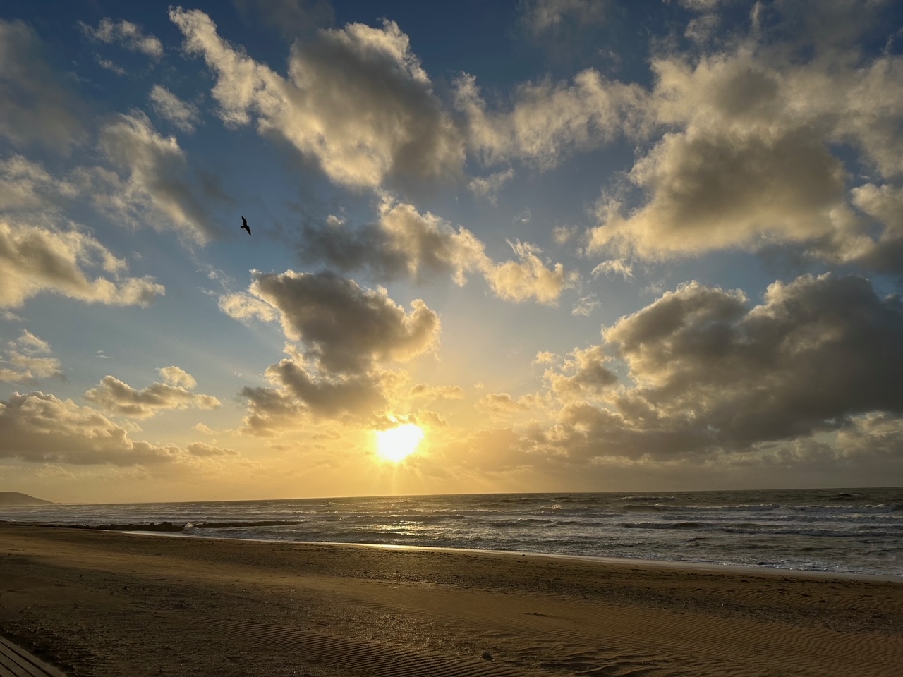 辻村相談窓口、「人生の後始末」
