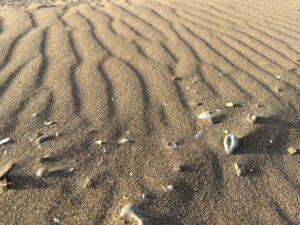 日々のことば「歳月」